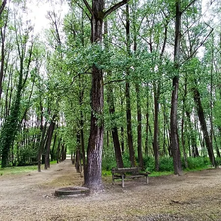 Orion Guest Casais Willa Lousada