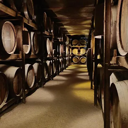 Vila Orion Guest Casais *