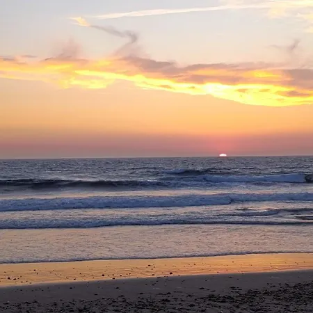 Orion Guest Casais *