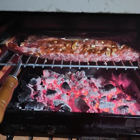 Orion Guest Casais *