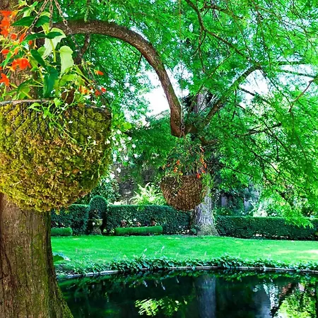 Orion Guest Casais Villa