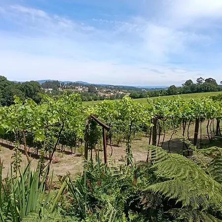 Willa Orion Guest Casais Lousada