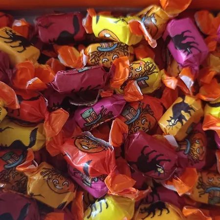 Willa Orion Guest Casais