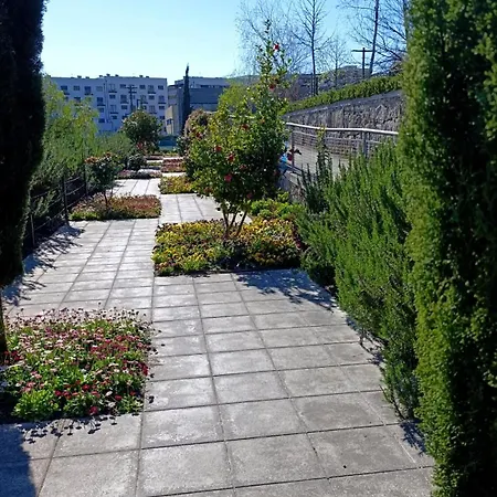 Orion Guest Casais *