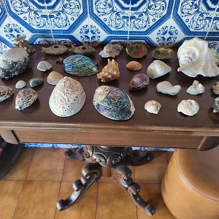 Willa Orion Guest Casais *