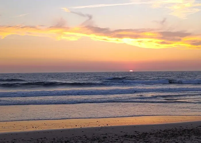 Orion Guest Casais *