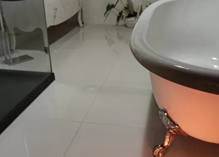 Orion Guest Casais *